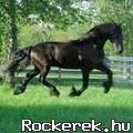 Fekete dmon