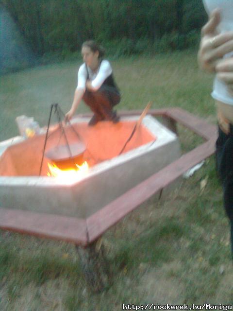 Fzs a Fldvrosi erdn