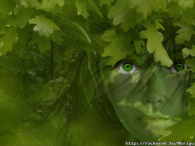 _Wood Elf