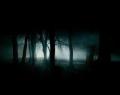 Dark-Forest-35836