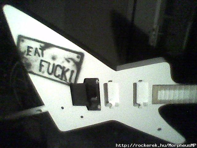 Bloodred - Explorer with Floyd Rose