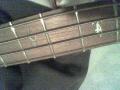 Bloodred - MorpheusBass