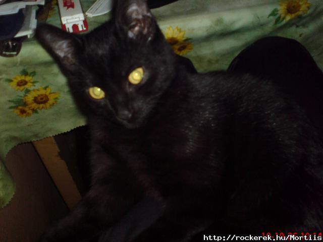 Lucifer