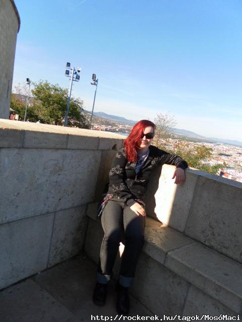 SAM_5536