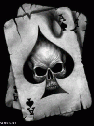 moha666