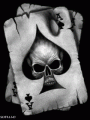 moha666