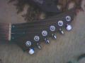 BloodRed Rhoads-V feje