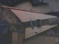 BloodRed Rhoads-V test