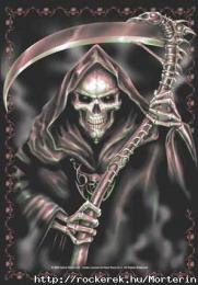 Morterin