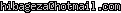 msn