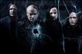 disturbed