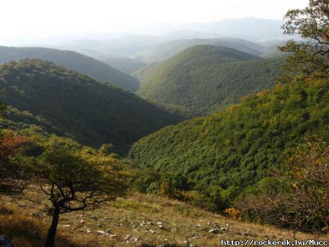 Cserepes-k