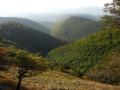 Cserepes-k