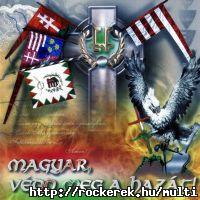 egeszsegesfejbor-magyarveddmeg