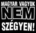 magyar vagyok nem szegyen_kicsi