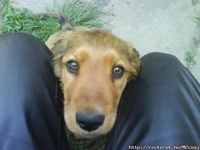kiskutym ^^