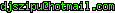 msn