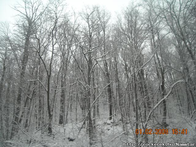 2009jan_351