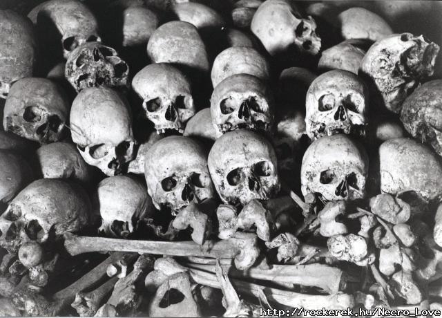 skulls_&_bones