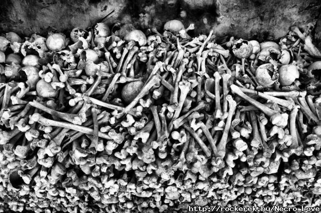 bones