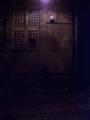 alone