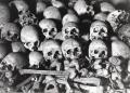 skulls__bones