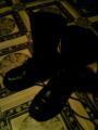 P021010_07.58