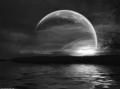 angels-in-love-moonlight-31000