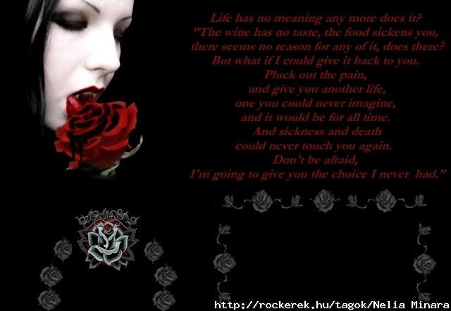 vampirefu2