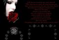 vampirefu2