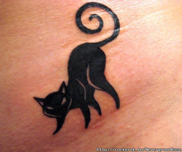 Emily the Strange inspirated cat