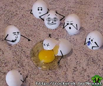 eggs