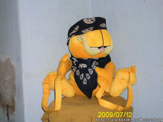 Rocker Garfield :D a hlyesgem hatrtalan XD