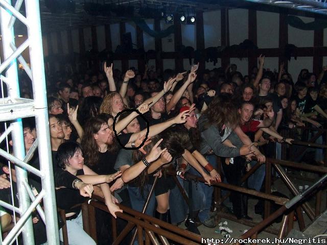 koncert 1