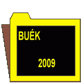 Szilveszteri buli (19)