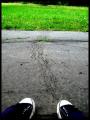 cipk.^^