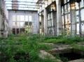 hydroponic garden
