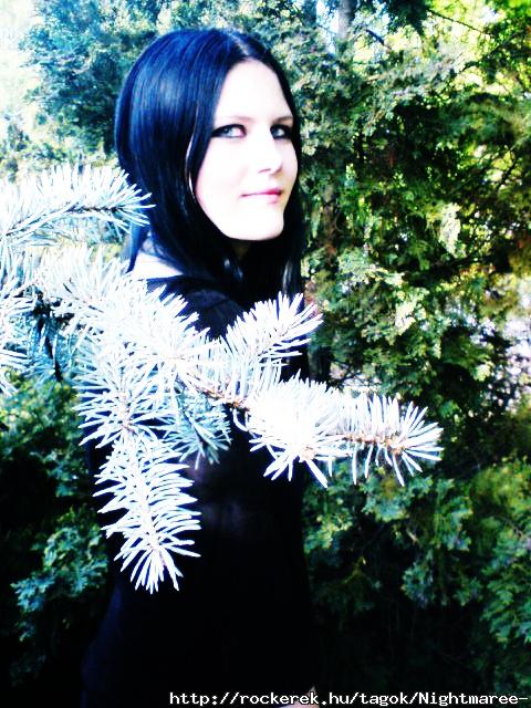 2010 prilis