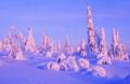 Lapland.3