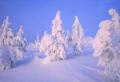 Lapland.4