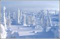 Lapland.5
