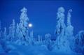 Lapland.6