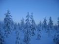 Lapland.7