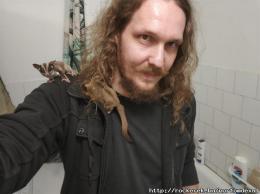 nortomdexul