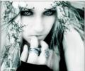 Druid leny