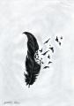 Ravens