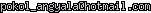 msn