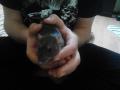 IMG_20130401_174605