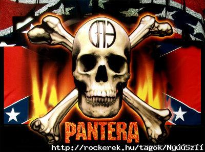 pantera_flag_and_skull