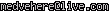msn